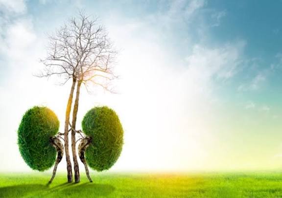 از پرونده کاغذی تا دیالیز سبز؛ یک تغییر ساده با اثرات بزرگ